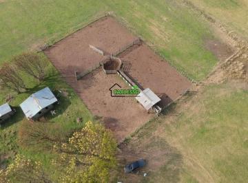 Imagem 1 · Fazenda para venda em Wilson, Santana do Livramento