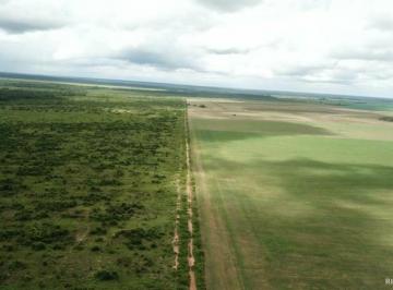 Imagem 1 · Fazenda