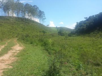 Imagem 1 · Fazenda