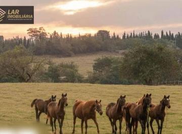 Imagem 1 · Haras e Área Rural Padrão
