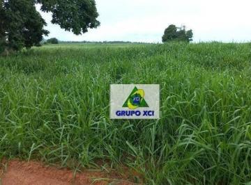 Imagem 1 · Fazenda