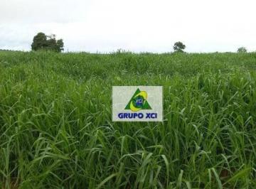 Imagem 1 · Fazenda
