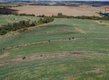 Imagem 1 · Fazenda