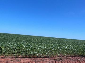 Imagem 1 · Fazenda