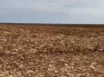 Imagem 1 · Fazenda
