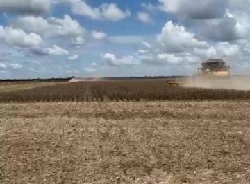 Imagem 1 · Fazenda para venda em Centro, Cristalina