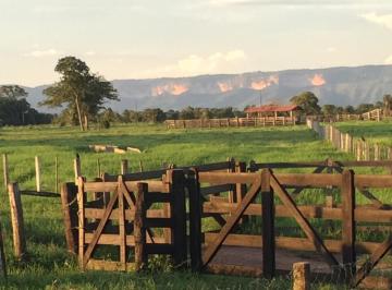 Imagem 1 · Fazenda