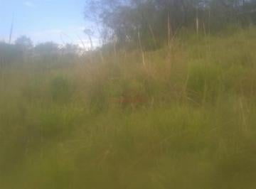 Imagem 2 · Fazenda