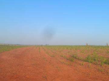 Imagem 1 · Fazenda