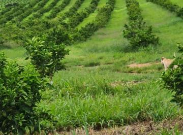 Imagem 1 · Fazenda