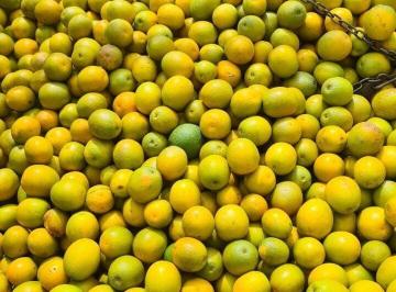 Imagem 1 · Fazenda para venda em Centro, Tatuí