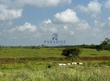 Imagem 1 · Fazenda