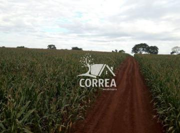 Imagem 1 · Fazenda para venda em Paranapanema