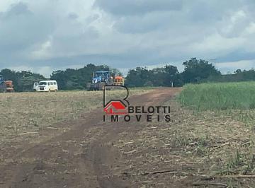 Imagem 1 · Fazenda