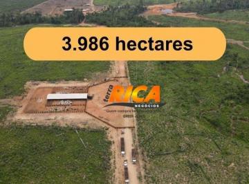 Imagem 1 · Fazenda