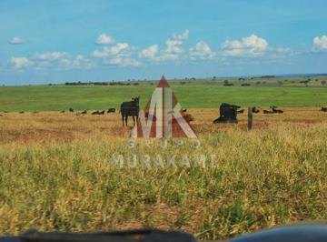 Imagem 1 · Fazenda