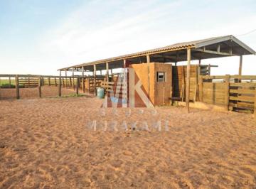 Imagem 1 · Fazenda