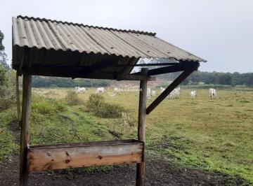 Imagem 1 · Fazenda