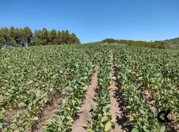 Imagem 1 · Fazenda