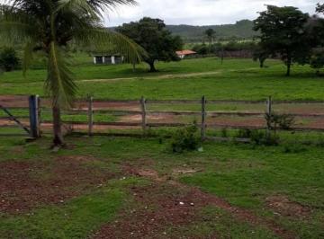 Imagem 1 · Fazenda