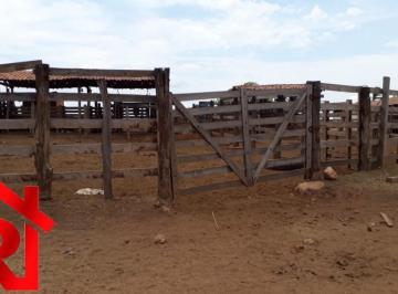 Imagem 1 · Fazenda