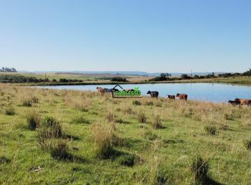 Imagem 1 · Fazenda