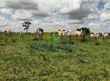 Imagem 1 · Fazenda