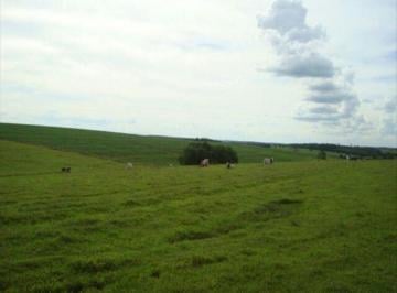 Imagem 1 · Fazenda