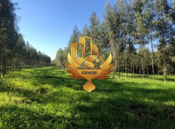 Imagem 1 · Fazenda