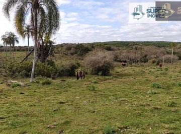 Imagem 1 · Fazenda