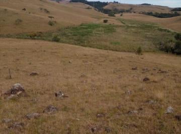 Imagem 1 · Fazenda