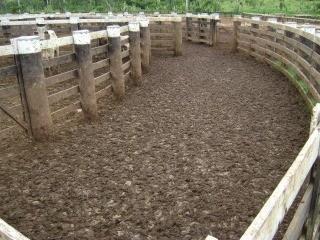 Imagem 1 · Fazenda