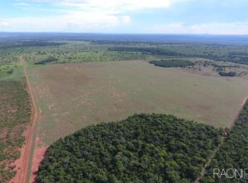Imagem 1 · Fazenda para venda em Centro, Peixe