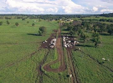 Imagem 1 · Fazenda