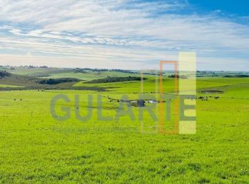 Imagem 1 · Fazenda