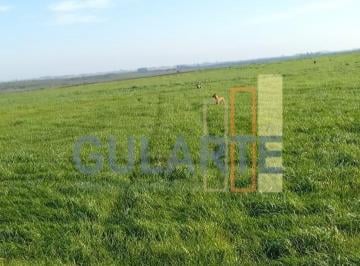 Imagem 1 · Fazenda