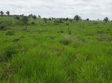 Imagem 1 · Fazenda
