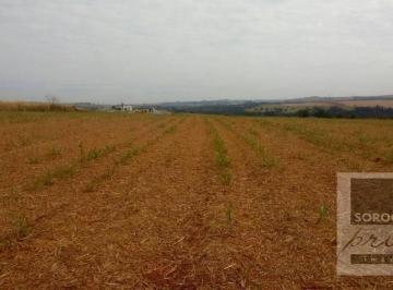 Imagem 1 · Fazenda