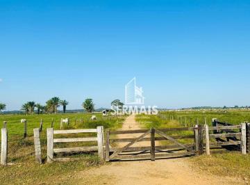 Imagem 1 · Fazenda