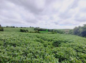 Imagem 1 · Fazenda