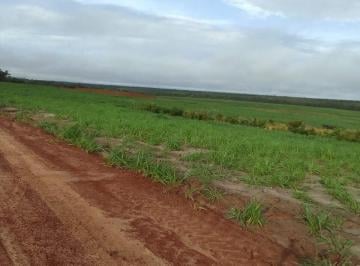 Imagem 1 · Fazenda para venda em Centro, Centenário