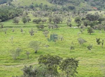 Imagem 1 · Fazenda