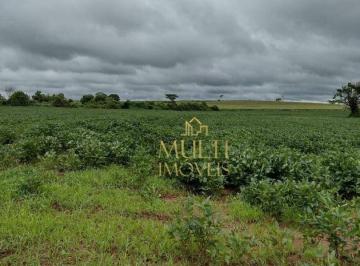 Imagem 1 · Fazenda