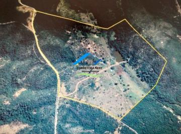 Imagem 1 · Fazenda