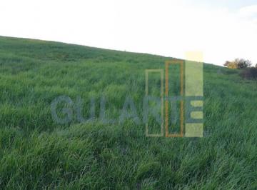 Imagem 1 · Fazenda