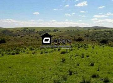 Imagem 1 · Fazenda