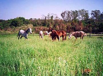 Imagem 1 · Fazenda