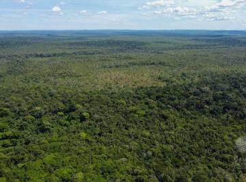 Imagem 1 · Fazenda