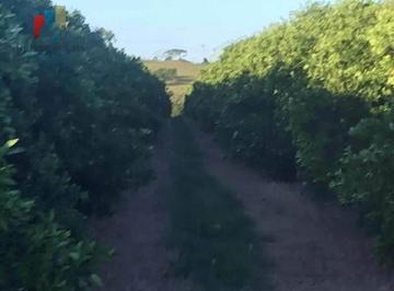 Imagem 1 · Fazenda para venda em Centro, Tatuí