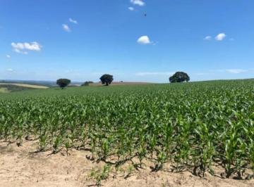Imagem 1 · Fazenda